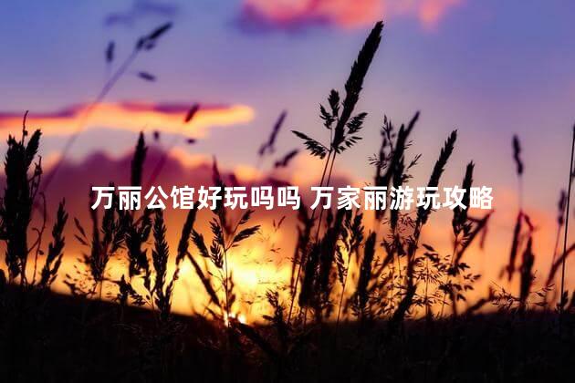 万丽公馆好玩吗吗 万家丽游玩攻略